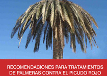 El Ayuntamiento de Peñíscola actualiza en la web el Protocolo de actuación contra la propagación de la plaga del Picudo Rojo