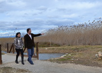 El Ayuntamiento de Peñíscola limpia y desbroza el marjal antes de la temporada turística