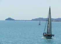 El Marina Benicarló se alza con la Mandarina’s Cup