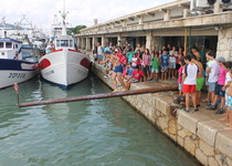 Tarde acuática en Peñíscola