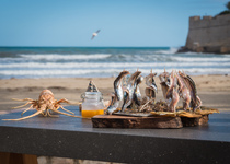 La Peñíscola de Cine presentará su gastronomía en varias capitales españolas